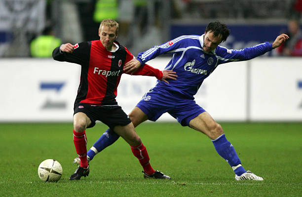 还源于他对 还源于他对